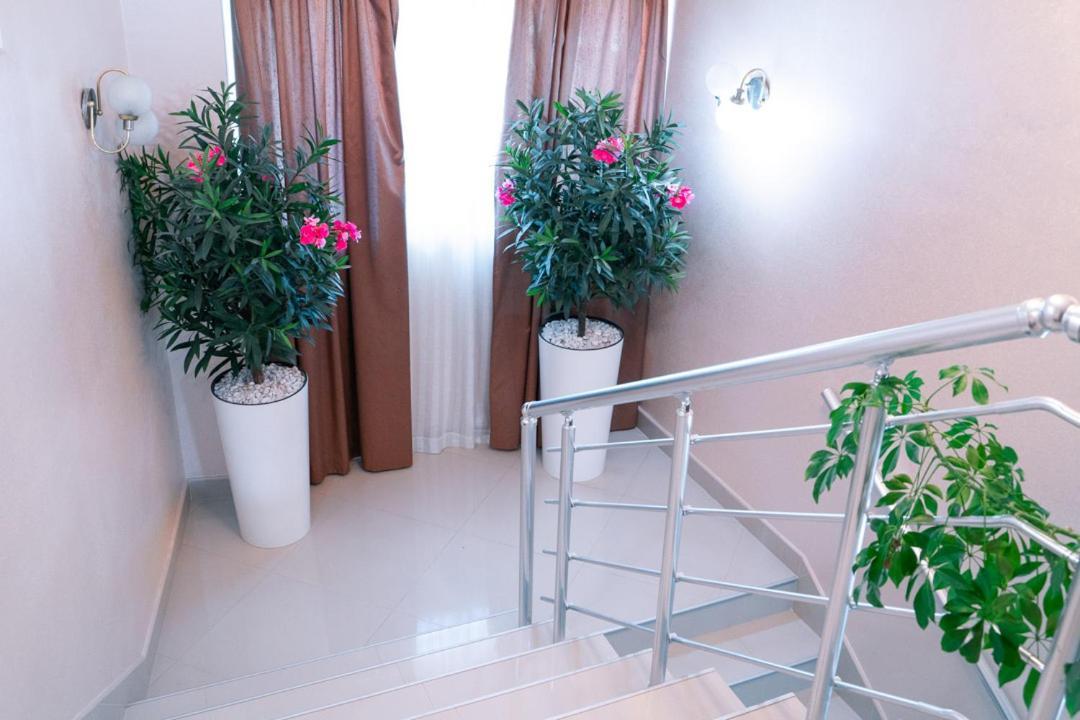 Hotel Zeleni Vir Ni Eksteriør bilde
